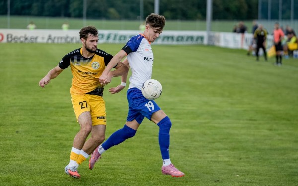VfB-VFC Plauen-1-2--2025-24