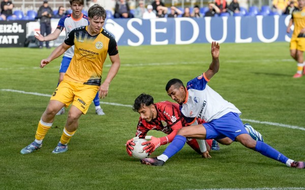 VfB-VFC Plauen-1-2--2025-29