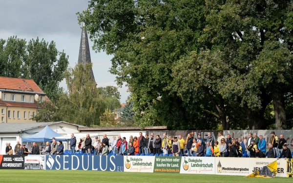 VfB-VFC Plauen-1-2--2025-5