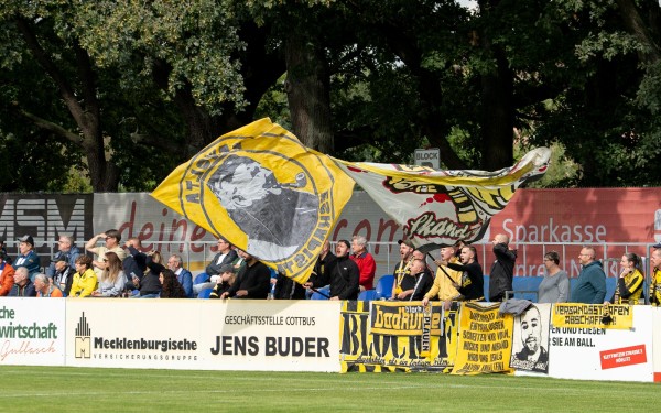 VfB-VFC Plauen-1-2--2025-6