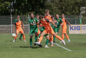 Den „Grüngelben Löwen“ den Zahn ziehen